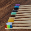 Cassiopeia Bamboo Toothbrush